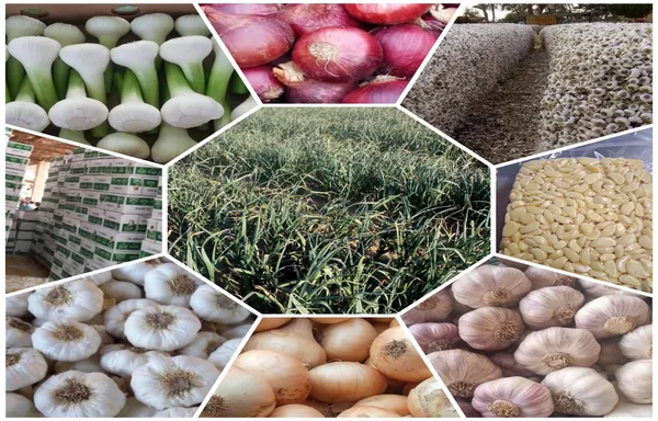   agricultural production