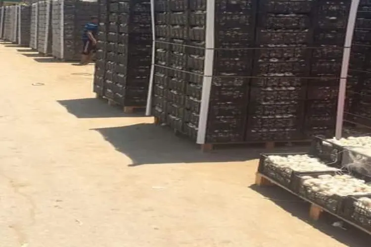 methods of packing and cargo