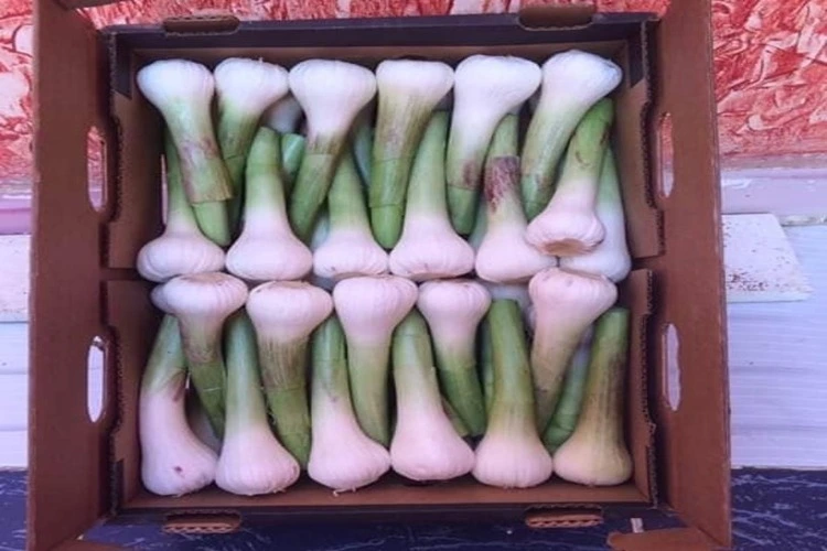 methods of packing and cargo