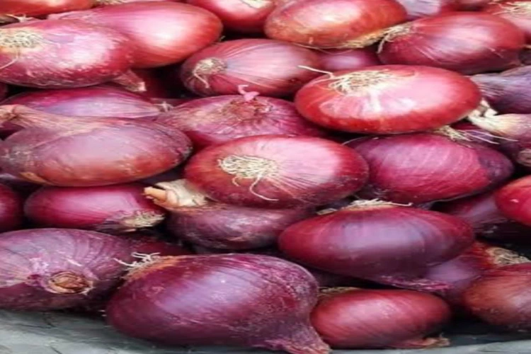 red onion